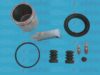 AUTOFREN SEINSA D41954C Repair Kit, brake caliper